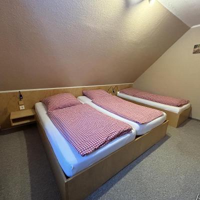 Albersrosenhof Spielplatzeiche2024 06 Mittel