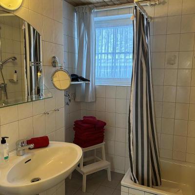 Albersrosenhof Spielplatzeiche2024 09 Mittel