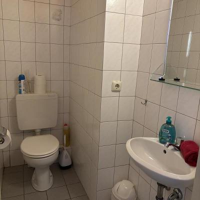 Albersrosenhof Spielplatzeiche2024 10 Mittel