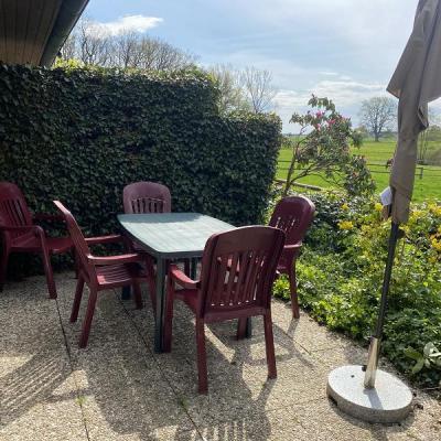 Albersrosenhof Spielplatzeiche2024 11 Mittel