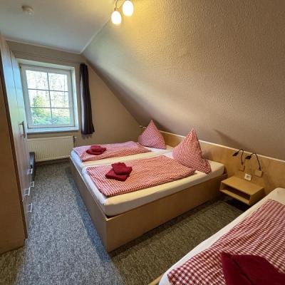 Albersrosenhof Rotbuche2024 06 Mittel